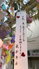 a1749016146153-